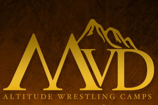 MVD Logo